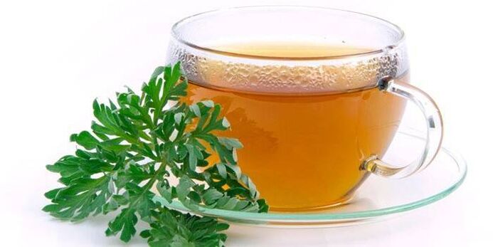 decoction of wormwood to treat fungus between the toes